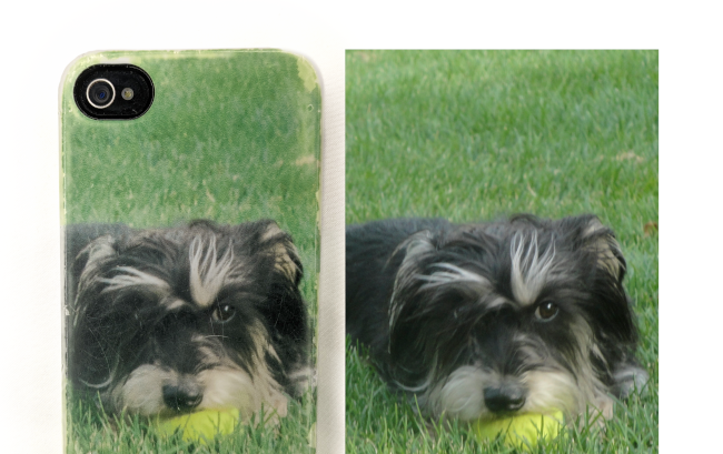 The back of the iPhone 4 case. Printed on the case sits a dog with salt-and-pepper coloring, lying on a grass field and holding a yellow tennis ball. The grass and tennis ball are both bright, not faded.
